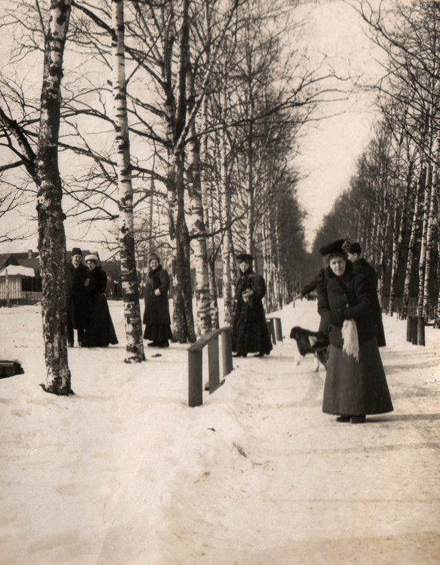 Семейные фото повседневной  жизни Санкт-Петербурга конца 1800-х  - начала 1900-х Дальние дали