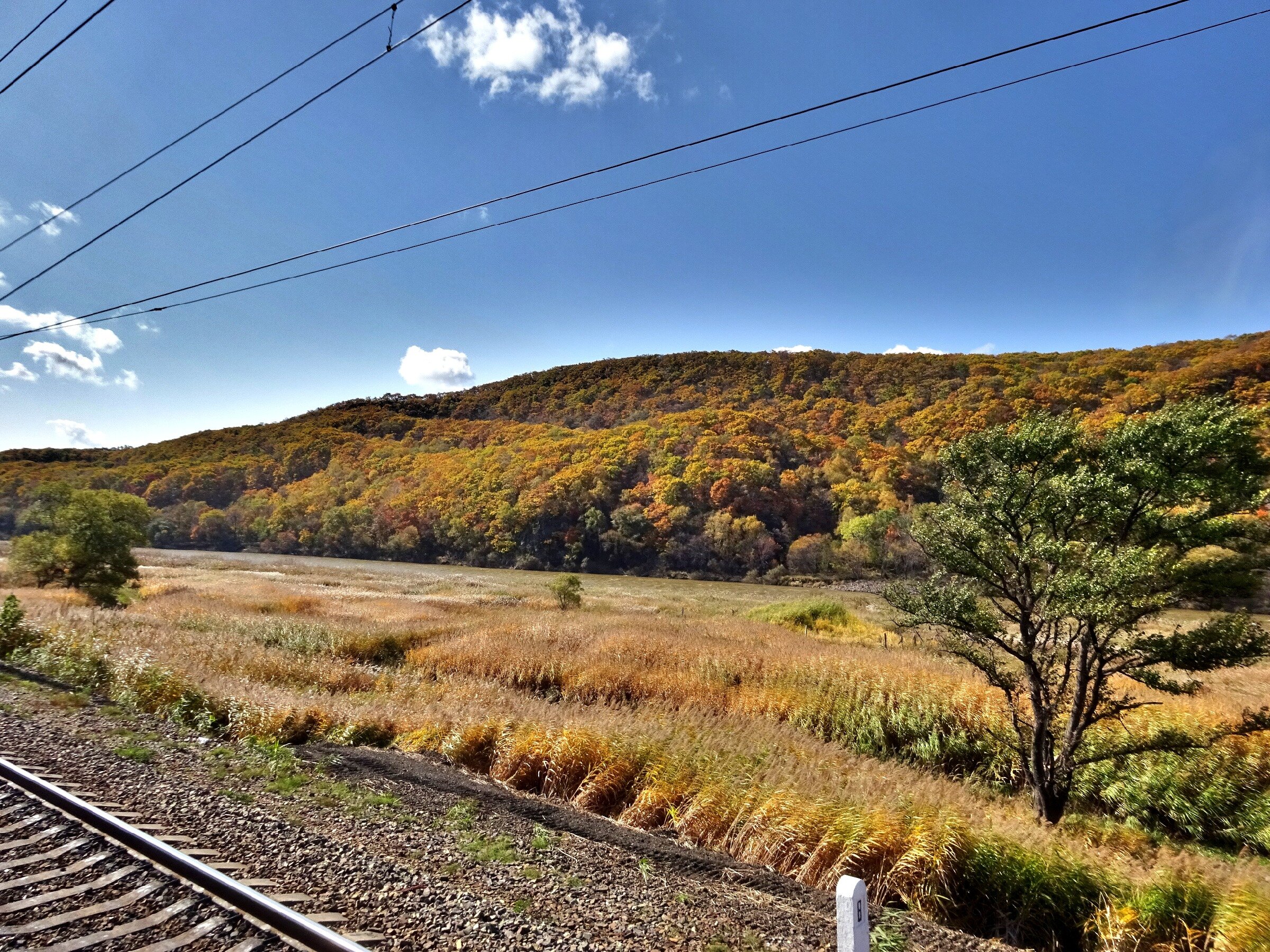 Виды ТрансСиба. Золотая осень 2020 Виды ТрансСиба. Золотая осень 2020