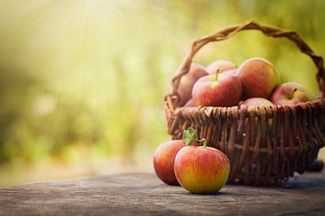 продукты для разгона метаболизма