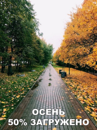 Веселые истории 