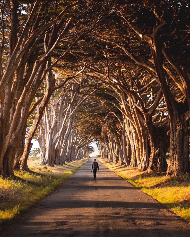Путешествуй! Фотографируй! Мечтай!