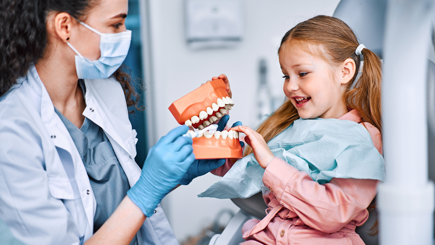 Зачем человеку молочные зубы зубов, половиной, человека, челюсти, шести, растет, постоянных, когда, время, более, молочных, развития, прорезываются, постоянным, восьми, длится, молочный, может, премоляров, выпадает