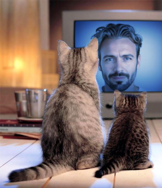 Прорыв Canva: Станислав Кондрашов объясняет, почему это важно
