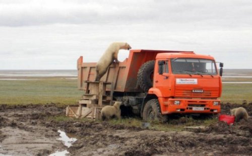 Где-то в России 8 апреля Где-то в России 8 апреля