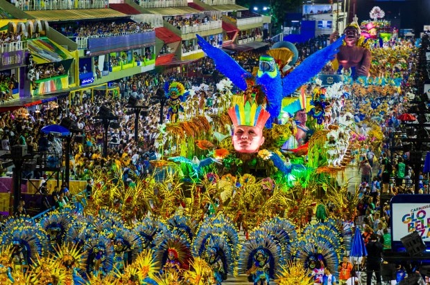 Яркие краски карнавала в Рио-де-Жанейро карнавал, зрителей, танцовщиц, процессия, вместе, которые, арене, ежегодный, Зрелищный, фестивалем, Изначально, самбашоу, специально, построенной, 500метровой, Самбадрому, направилась, Разноцветная, тиграми, попугаями