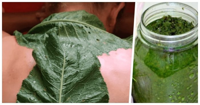 listya_xrena_vytyagivayut_bol_iz_spiny_-_proverennyj_i_bezotkaznyj_recept__naget_ru