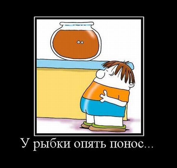 Диарея картинки прикольные