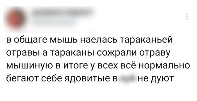 Прикольные твиты про влюблённость, вид из окна, пожарное ведро и многое другое 