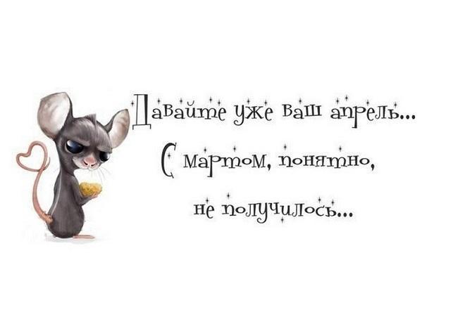 Картинки со смешными статусами Картинки со смешными статусами