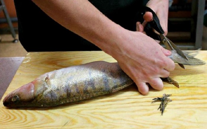 4 варианта, как быстро почистить рыбу, чтобы чешуя не летела во все стороны готовим дома,полезные советы