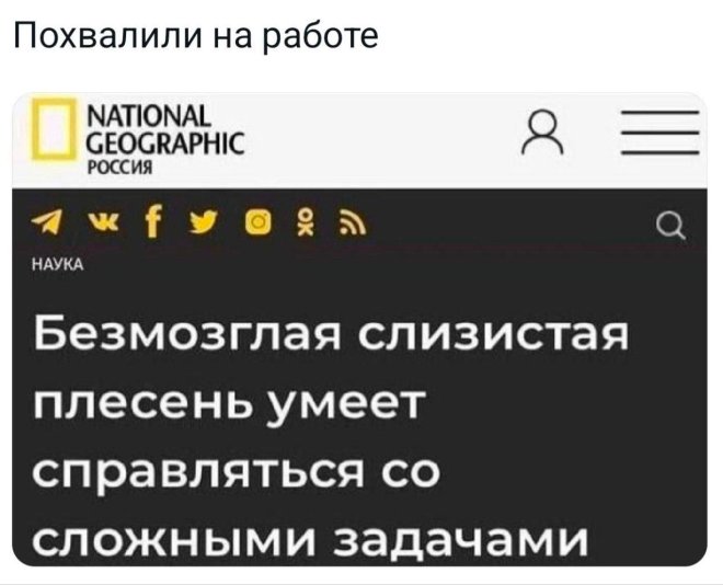 Бесит, когда люди не заканчивают свою мысль. Это всё равно что... 