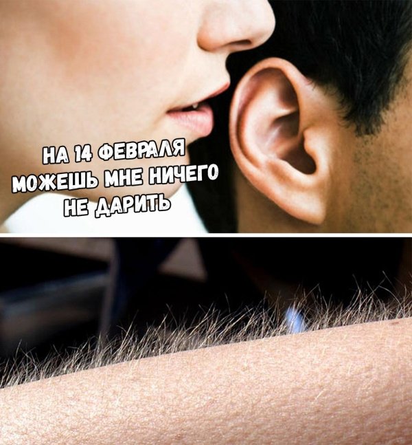 Фотоподборка понедельника