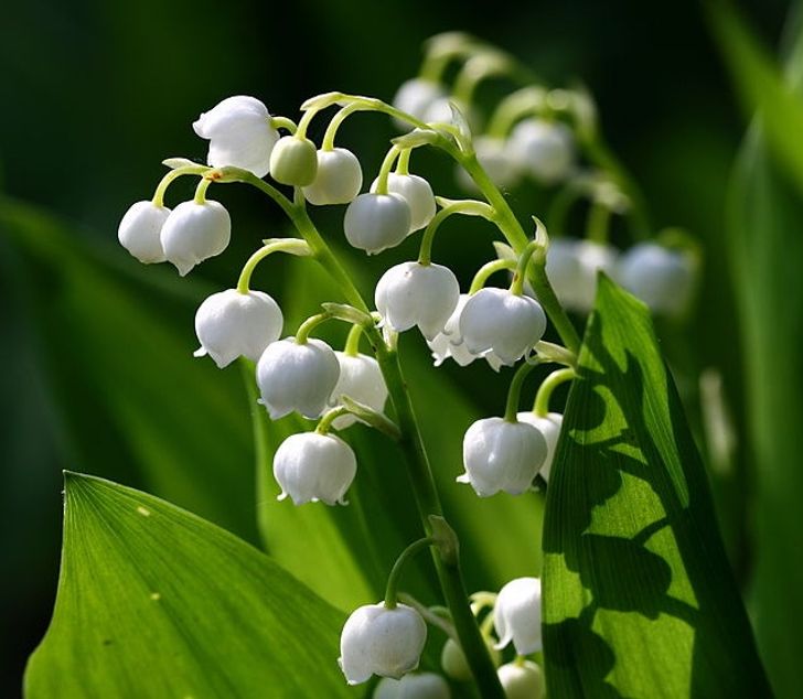 18 родителей, которые решили соригинальничать и дали детям такие имена, что хоть стой, хоть падай 18 родителей, которые решили соригинальничать и дали детям такие имена, что хоть стой, хоть падай имена,позитив,смех,улыбки,юмор