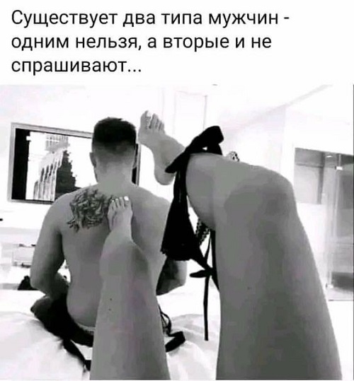 Прикольные картинки с надписями Прикольные картинки с надписями