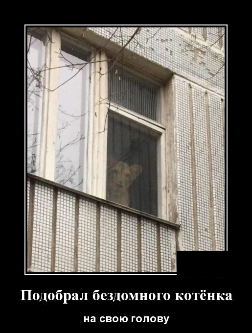 Демотиваторы Демотиваторы демотиваторы