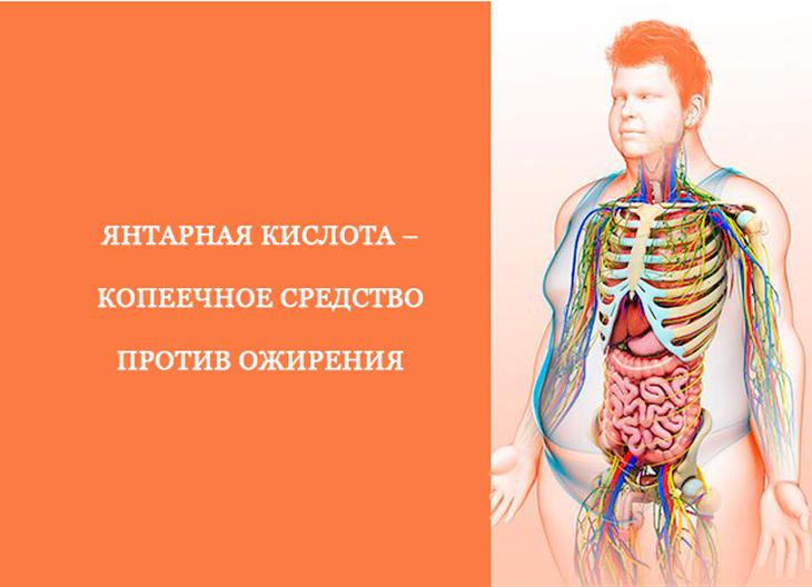 Янтарная кислота – копеечное средство против ожирения Янтарная кислота – копеечное средство против ожирения