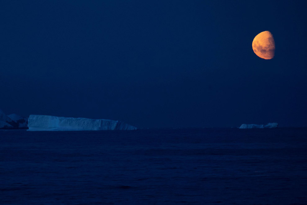 Луна и айсберги