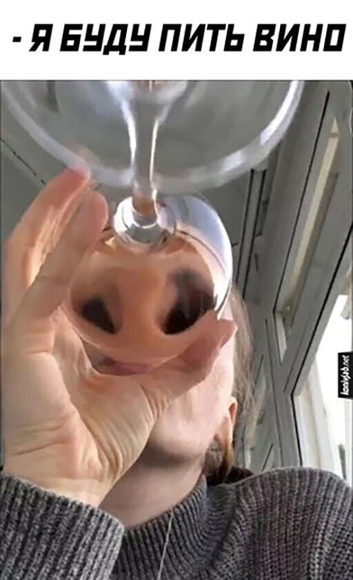 Приколы про алкоголь после прошедших выходных  позитив,смешные картинки,юмор