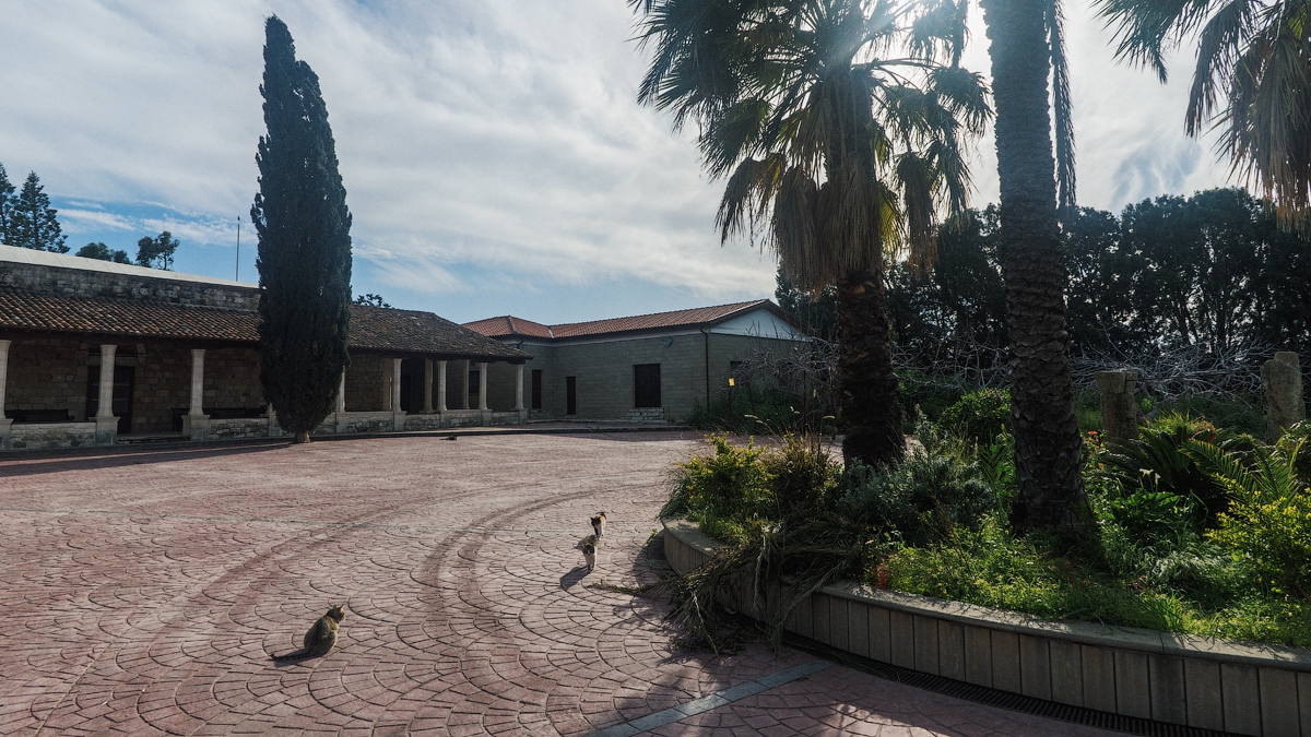 Пафосное фотопутешествие Пафосное фотопутешествие