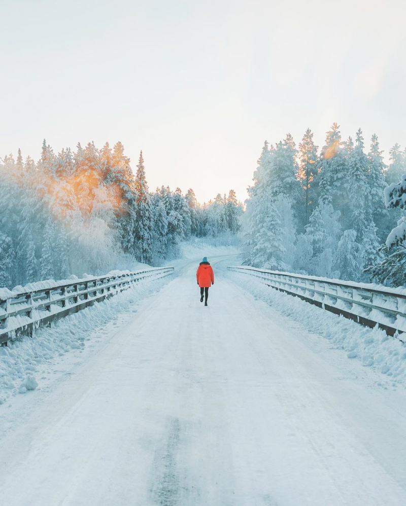 Природа и животные на снимках Шарли Савели фотографии,  Шарли, университете, графического, дизайна, научной, иллюстрации, Калифорнийском, СантаКрузе, бакалавра, Шарли, специализируется, основном, путешествиях, приключениях, дикой, области, степень, Савели, родилась