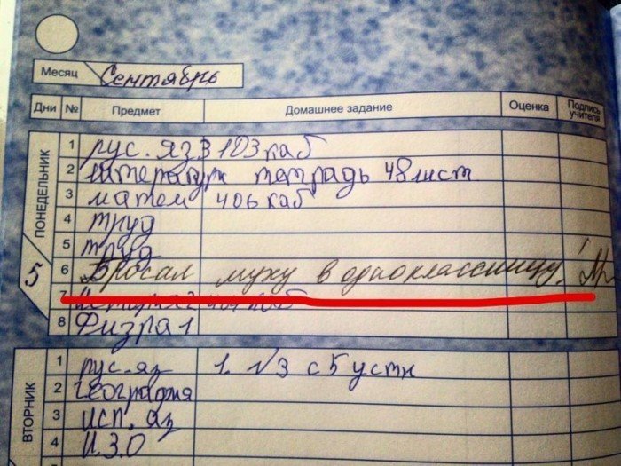 15 замечаний в школьных дневниках, от которых у родителей волосы встают дыбом 15 замечаний в школьных дневниках, от которых у родителей волосы встают дыбом