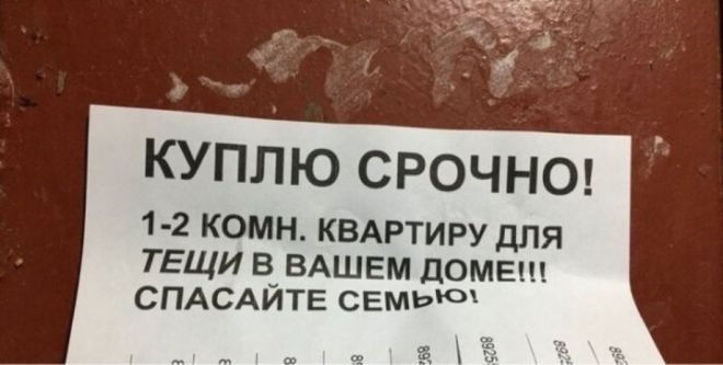 Тёща достала:  о вечном семейном противостоянии веселые картинки,Истории из жизни,отношения,приколы,юмор