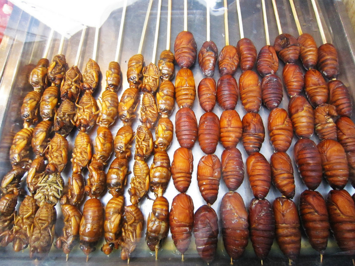 Вещи странные для европейцев, но привычные для жителей Южной Кореи Вещи странные для европейцев, но привычные для жителей Южной Кореи