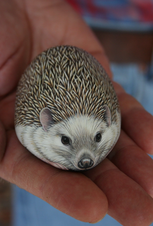 Сначала не поверила, но оказалось, что это нарисовано на камнях! handmake,разное,художество