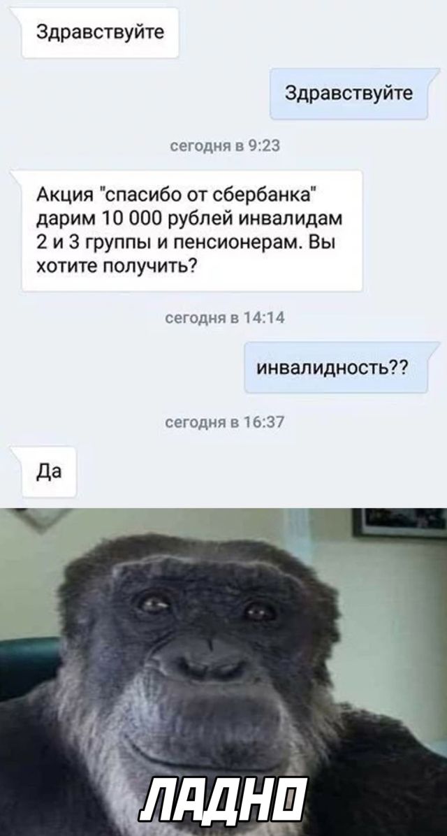 Подборка прикольных картинок Подборка прикольных картинок приколы,смешные картинки,юмор