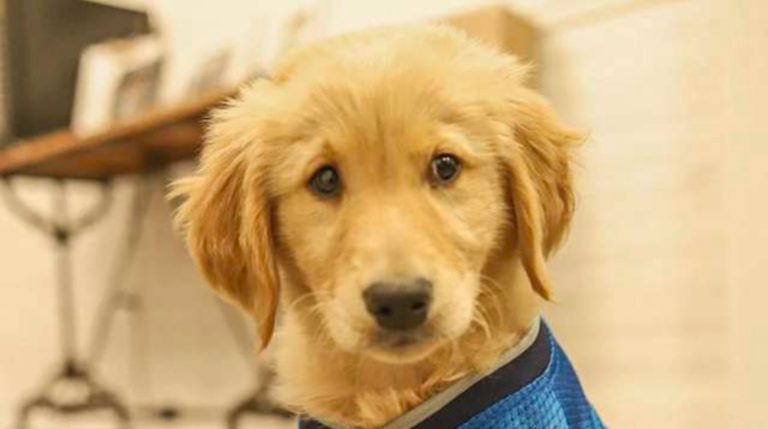 BeFunky-collage - 2020-02-14T163257.499