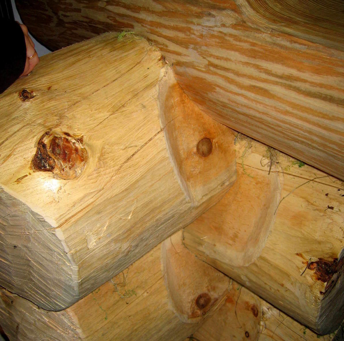 Нюансы строительства бревенчатого дома деревянный дом,ремонт и строительство,строительные материалы