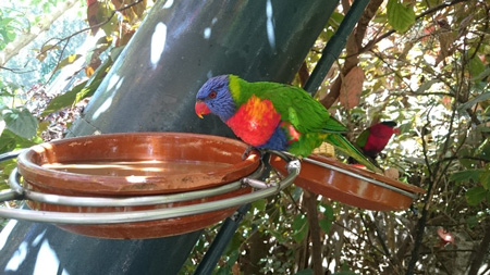 Парки Тенерифе