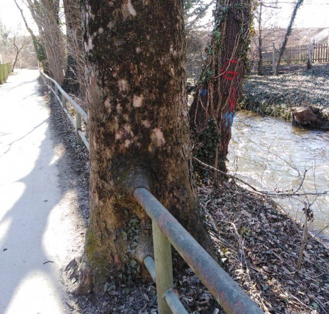 25 обалденных приколов для поднятия настроения на всю неделю 25 обалденных приколов для поднятия настроения на всю неделю смешные картинки