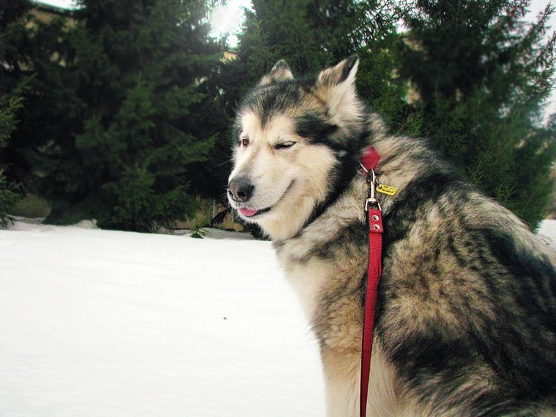 Немного прикольных картинок картинки, подборка картнок, прикол, юмор