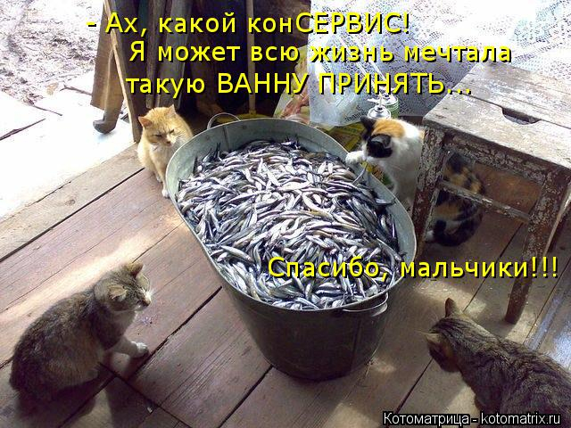 А я, оказывается, очень даже ничего! - сказала жизнь, посмотрев телевизор А я, оказывается, очень даже ничего! - сказала жизнь, посмотрев телевизор демотиваторы,животные,позитив,приколы,Смешные животные,юмор
