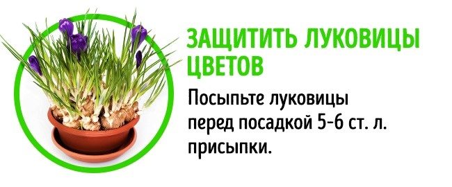Способы применения детской присыпки, о которых вы не догадывались