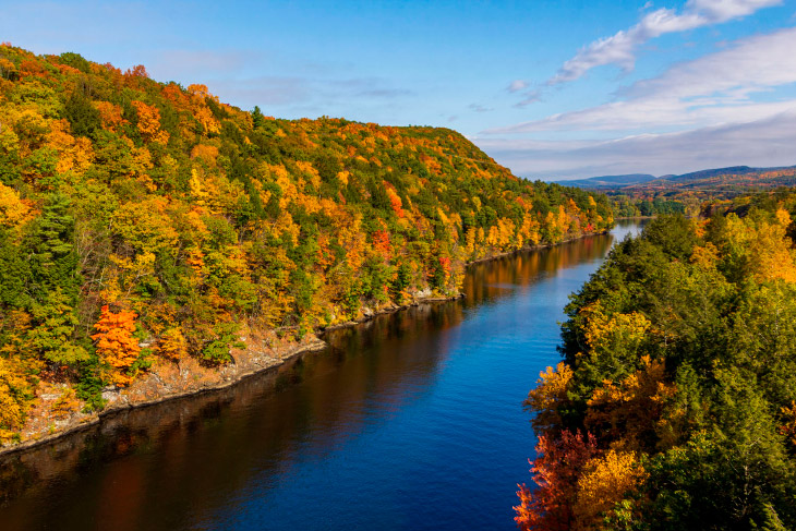 Последние дни золотой осени в фотографиях 