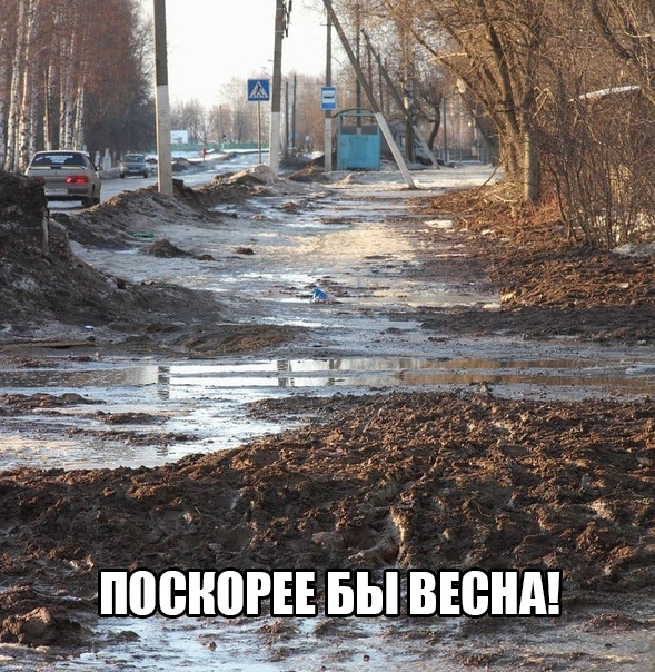 Подборка смешных и жизненных надписей к фотографиям 