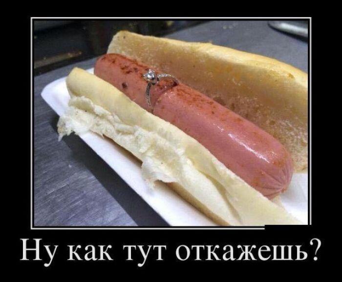 Пятничные демотиваторы: «Где хозяин берёзы?» 