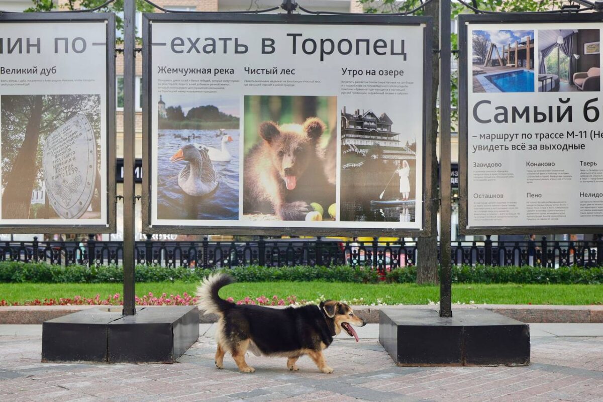 Интересными фактами о Торопце делятся на выставке в центре Москвы