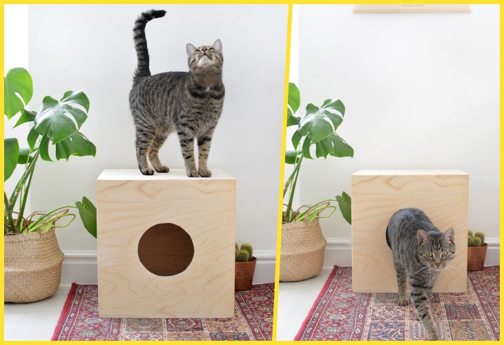 Домики Для Кошек Из Фанеры Фото