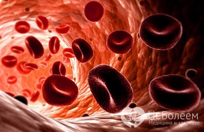 Количество эритроцитов в крови у ребенка повышается при обезвоживании