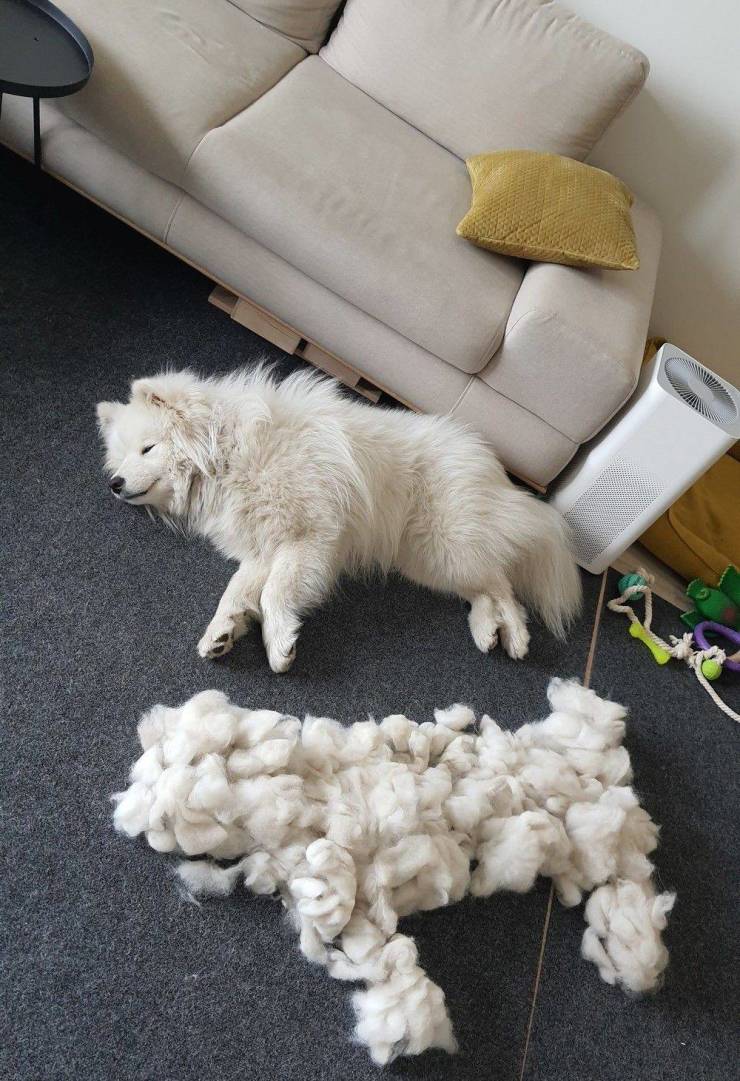 Подборка прикольных картинок Подборка прикольных картинок приколы,смешные картинки,юмор