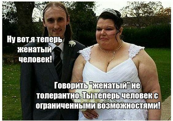 Свежие веселые картинки 