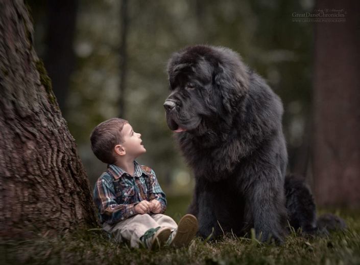 Маленькие дети и их большие собаки Маленькие дети и их большие собаки картинки,супер