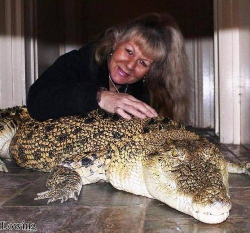 Не все в качестве домашних питомцев держат кошек и собак 