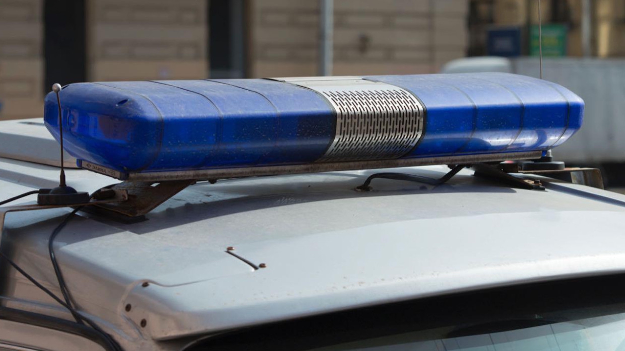 Под Кировском задержали подозреваемого в убийстве пенсионерки в СНТ «Строитель»