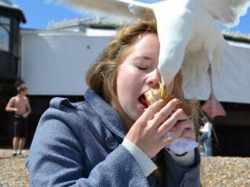 Классные фотоприколы! Классные фотоприколы! смешные картинки