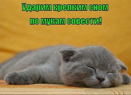 Прикольные картинки с надписями Прикольные картинки с надписями