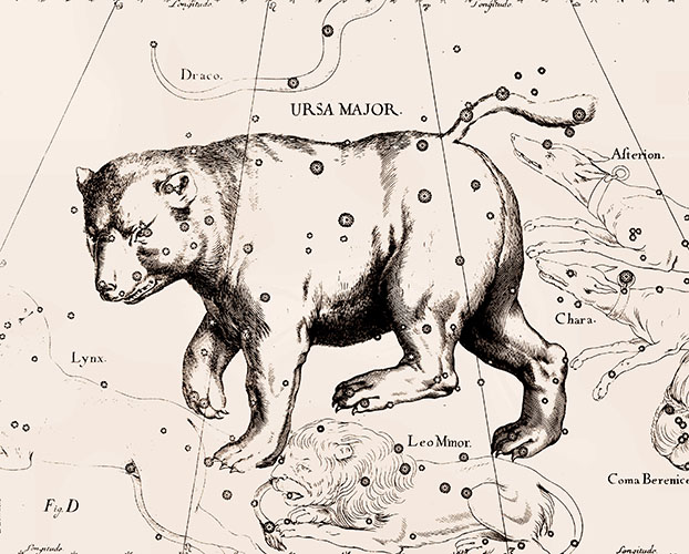 Схема звезд Большой Медвидицы с иллюстрацией